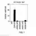 Fig. 02 - Methods for detecting Th1 cells