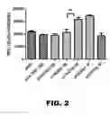 Fig. 03 - RECOMBINANT BACTERIUM FOR INDUCTION OF CELLULAR IMMUNE RESPONSE