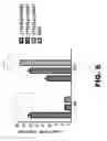 Fig. 08 - RECOMBINANT BACTERIUM FOR INDUCTION OF CELLULAR IMMUNE RESPONSE