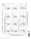 Fig. 09 - RECOMBINANT BACTERIUM FOR INDUCTION OF CELLULAR IMMUNE RESPONSE
