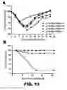 Fig. 16 - RECOMBINANT BACTERIUM FOR INDUCTION OF CELLULAR IMMUNE RESPONSE