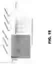 Fig. 22 - RECOMBINANT BACTERIUM FOR INDUCTION OF CELLULAR IMMUNE RESPONSE