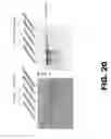 Fig. 23 - RECOMBINANT BACTERIUM FOR INDUCTION OF CELLULAR IMMUNE RESPONSE