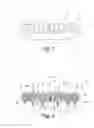 Fig. 02 - Dental prosthesis, in particular on implants, optionally for the replacement of an entire dental arch, method and kit for making it