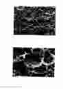 Fig. 08 - Process for providing a topography to the surface of a dental implant