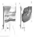 Fig. 06 - Computer-implemented dental restoration design