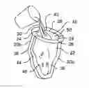 Fig. 01 - Taxidermy mannequin and method of making the same