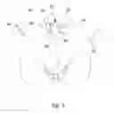 Fig. 06 - Brassiere