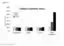 Fig. 03 - Biotin-conjugated hexapeptide-2 derivative and use thereof