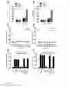 Fig. 05 - Cellular targets for HIV infection