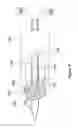 Fig. 04 - Internal optical spectroscope and method for real time in-situ diagnosis in living cells