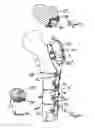 Fig. 04 - ORTHOPAEDIC FIXATION COMPONENT AND METHOD