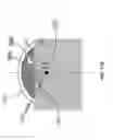 Fig. 27 - Apparatus and method for irradiating biological tissue