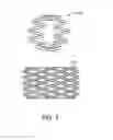 Fig. 03 - Bioabsorbable implants
