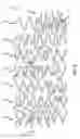 Fig. 10 - INTRAVASCULAR STENT