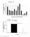 Fig. 03 - Coating composition and medical device