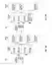 Fig. 06 - Merging direct memory access windows