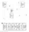 Fig. 07 - System and method for identity management