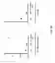 Fig. 06 - Methods for making fully human bispecific antibodies using a common light chain