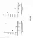 Fig. 07 - Methods for making fully human bispecific antibodies using a common light chain