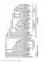 Fig. 02 - Polynucleotides and polypeptides in plants
