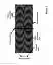 Fig. 04 - Method for adaptive optimizing of heterogeneous proppant placement under uncertainty