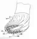 Fig. 01 - HORSE SHOE