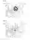 Fig. 09 - Image reading apparatus