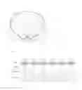Fig. 09 - Light emitting device package