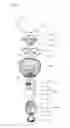 Fig. 12 - Light emitting device package