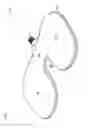 Fig. 05 - Cushions for relieving sciatic and/or perineum pressure