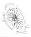 Fig. 01 - SPOKE REORIENTABLE FOLDABLE WHEEL