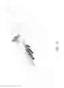 Fig. 13 - Antenna and Electronic Device