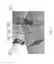 Fig. 03 - Touch sensitive computing surface for interacting with physical surface devices