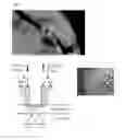 Fig. 01 - DIFFUSE REFLECTANCE HYPERSPECTRAL IMAGING SYSTEM