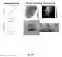 Fig. 17 - DIFFUSE REFLECTANCE HYPERSPECTRAL IMAGING SYSTEM