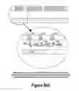 Fig. 06 - Tone mapping for low-light video frame enhancement