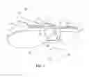 Fig. 02 - Foaming Shoe with Built-In Luminous Component