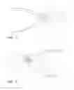 Fig. 02 - Illuminated hand tool assembly