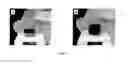 Fig. 02 - METHODS FOR PRODUCING NIO NANOPARTICLE THIN FILMS AND PATTERNING OF
NI CONDUCTORS BY NIO REDUCTIVE SINTERING AND LASER ABLATION