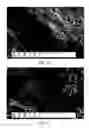 Fig. 45 - METHODS AND REACTORS FOR PRODUCING SOLID CARBON NANOTUBES, SOLID CARBON CLUSTERS, AND FORESTS