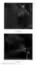 Fig. 49 - METHODS AND REACTORS FOR PRODUCING SOLID CARBON NANOTUBES, SOLID CARBON CLUSTERS, AND FORESTS
