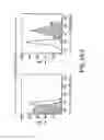 Fig. 04 - Activation of myeloid-derived suppressor cells as a predictor of patient response to interferon-A therapy