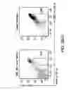 Fig. 06 - Activation of myeloid-derived suppressor cells as a predictor of patient response to interferon-A therapy