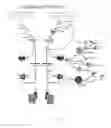 Fig. 02 - Humanized anti-factor C3b antibodies and uses thereof