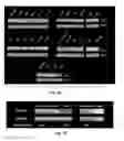 Fig. 04 - NANOSTRUCTURES FOR TREATING CANCERS AND OTHER CONDITIONS