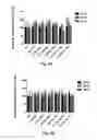 Fig. 06 - NANOSTRUCTURES FOR TREATING CANCERS AND OTHER CONDITIONS