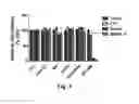 Fig. 07 - NANOSTRUCTURES FOR TREATING CANCERS AND OTHER CONDITIONS