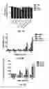 Fig. 08 - NANOSTRUCTURES FOR TREATING CANCERS AND OTHER CONDITIONS