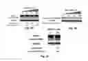 Fig. 09 - NANOSTRUCTURES FOR TREATING CANCERS AND OTHER CONDITIONS